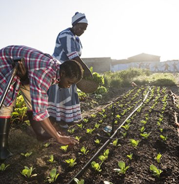Morning image of an adult african woman, in traditional clothing, smiling at a young african male while they are in their garden.